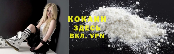 эйфоретик Вяземский