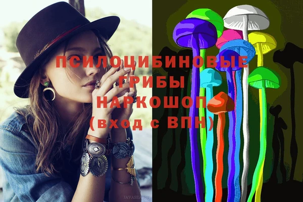 spice Вязники
