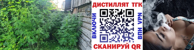 ТГК Wax  Железногорск-Илимский 