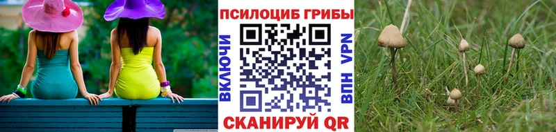 Псилоцибиновые грибы Cubensis  даркнет сайт  Железногорск-Илимский 